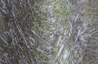 Balfron Station fibreglass roof work